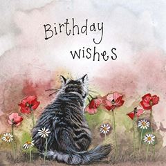 Immagine di CAT & POPPIES BIRTHDAY CARD