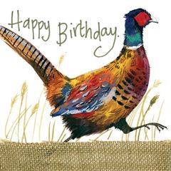 Picture of FUN AND GAME BIRTHDAY CARD