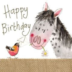 Bild von PRETTY PONY BIRTHDAY CARD