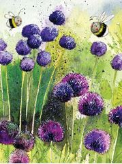 Picture of ALLIUMS