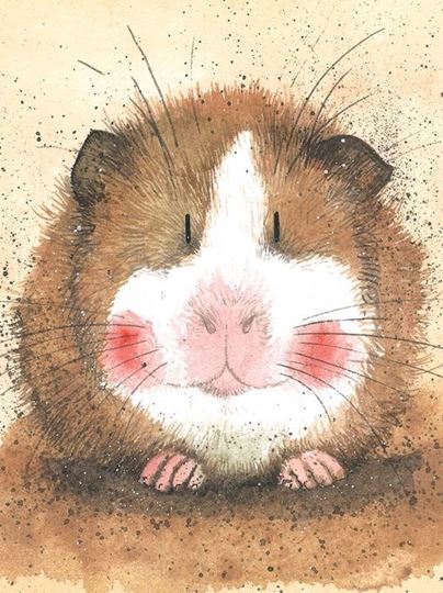 Picture of GILBERT