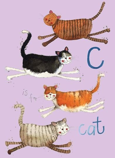 Bild von C IS FOR CAT SOFT LARGE NOTEBOOK