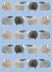 Picture of SPLENDID SHEEP SOFT LARGE NOTEBOOK