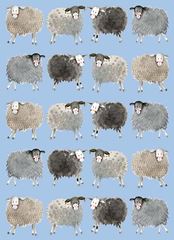 Bild von SPLENDID SHEEP SOFT LARGE NOTEBOOK