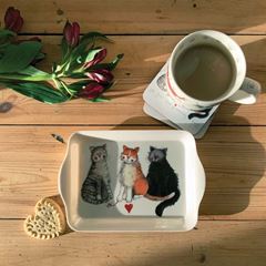 Picture of SMALL CAT TRAY