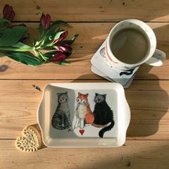 Image de SMALL CAT TRAY