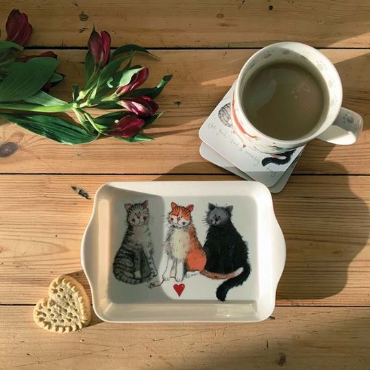 Bild von SMALL CAT TRAY