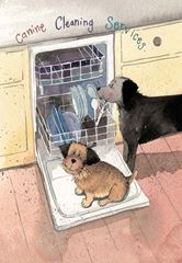 Immagine di CANINE CLEANING SERVICES