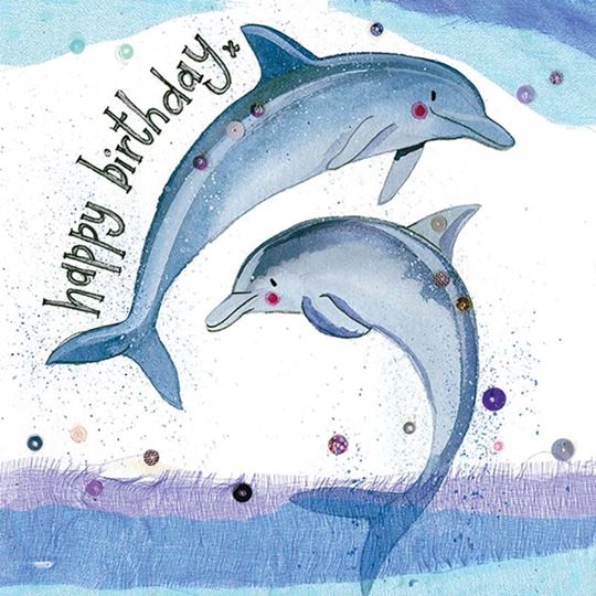 Bild von DOLPHINS CARD