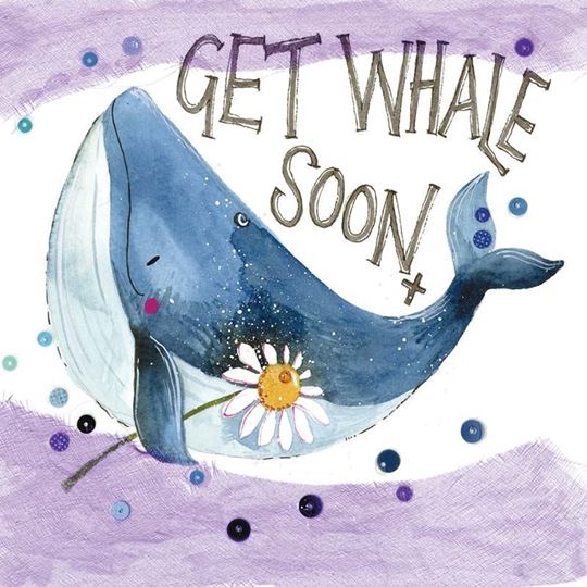 Picture of GET WHALE SOON CARD