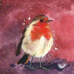 Picture of RED BREAST XMAS CARD PACK OF 5