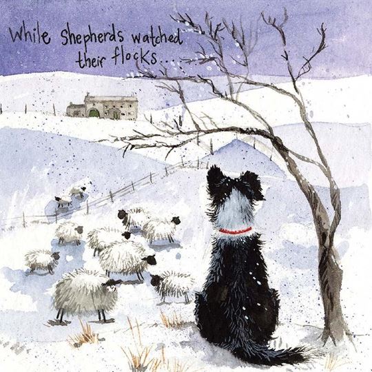 Picture of CHRISTMAS COLLIE XMAS CARD PACK OF 5