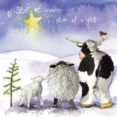 Image de STAR OF NIGHT XMAS CARD PACK OF 5