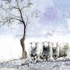 Picture of WINTER FLOCK XMAS CARD PACK OF 5