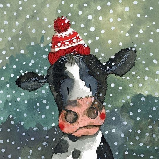 Picture of CHRISTMAS COW CHRISTMAS CARD PACK OF 5