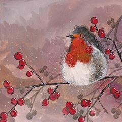 Bild von ROBIN AND RED BERRIES CHRISTMAS CARD PACK OF 5