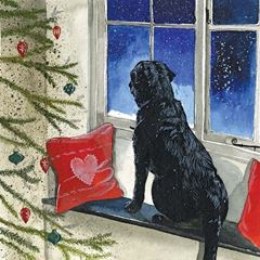 Immagine di LUCY'S CHRISTMAS CARD PACK OF 5
