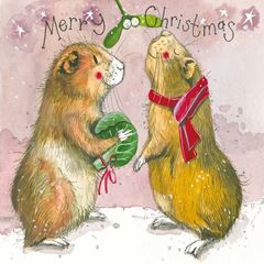 Picture of FESTIVE GUINEAS PACK OF 5