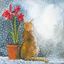 Picture of CAT & AMARYLLIS PACK OF 5