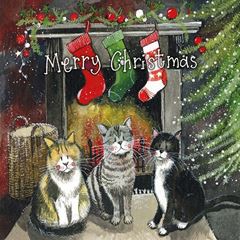 Picture of CHRISTMAS FELINES