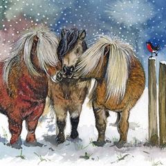 Picture of CHRISTMAS PONIES