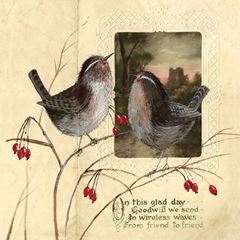 Picture of VINTAGE WRENS SINGLE FLITTERED XMAS CARD