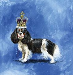 Bild von KING CHARLES