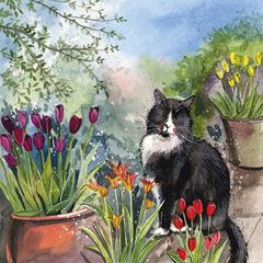 Picture of CAT AND TULIPS