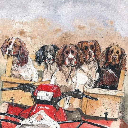 Image sur WORKING SPANIELS