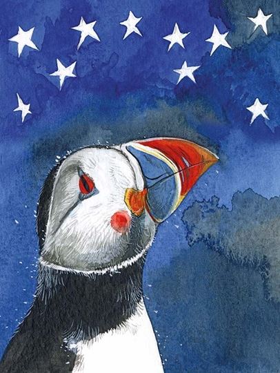 Immagine di PUFFIN