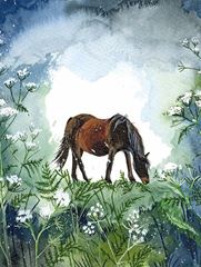 Image de HORSE AND COW PARSLEY