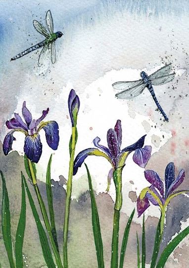 Picture of DRAGONFLIES