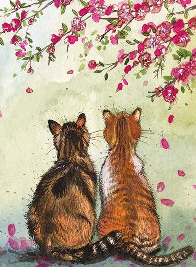 Bild von CATS IN THE BLOSSOM