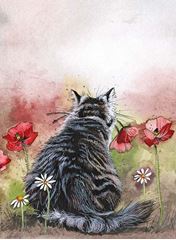 Image de CAT IN THE POPPIES