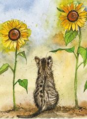 Bild von CAT IN THE SUN FLOWERS
