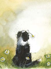 Bild von COLLIE AND DAISIES