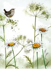 Picture of WREN AND DAISIES