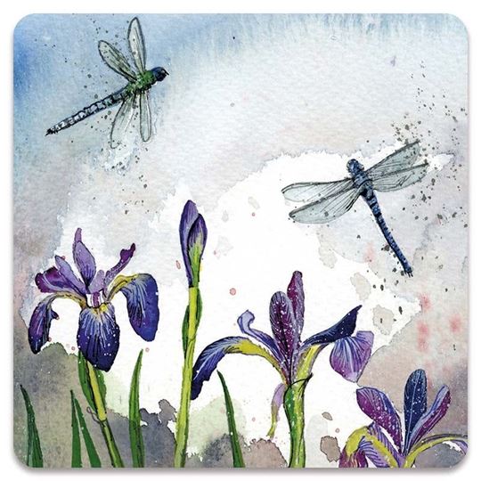 Bild von DRAGONFLIES