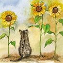 Image sur Cat and Sunflowers