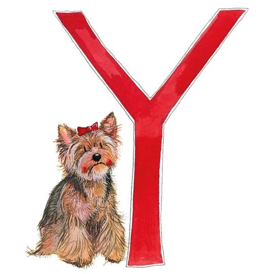 Picture of Y YORKIE ALPHABET TILE