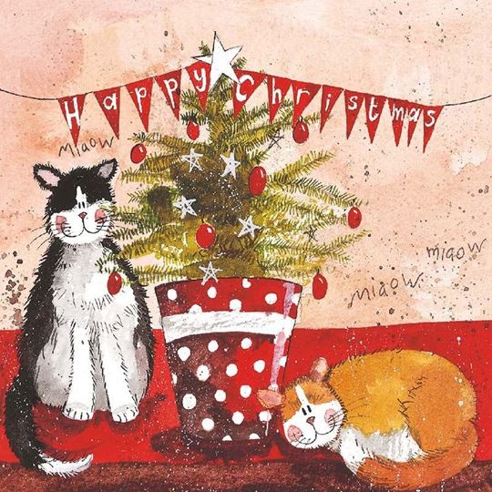 Bild von CATS AND CHRISTMAS TREE