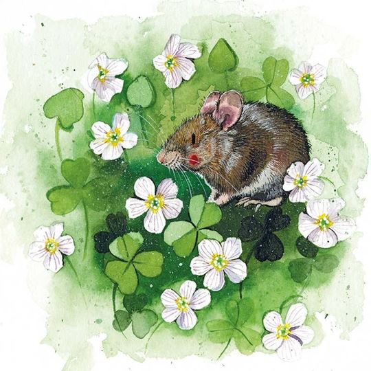 Bild von WOOD MOUSE AND WOOD SORREL BLANK CARD