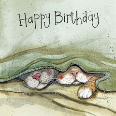 Bild von CATS WHISKERS BIRTHDAY CARD