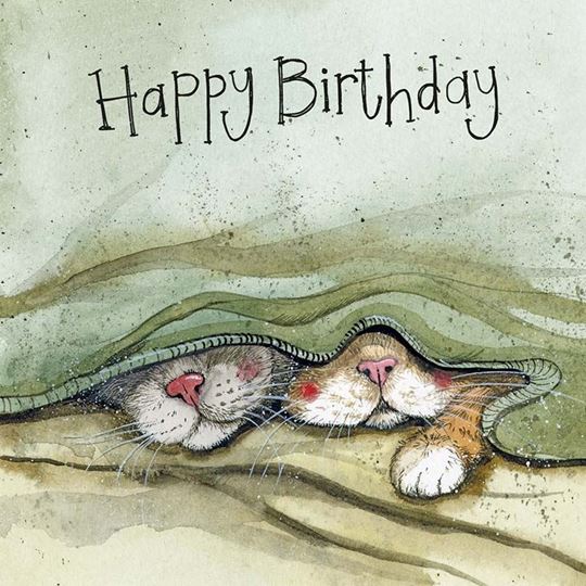Image sur CATS WHISKERS BIRTHDAY CARD