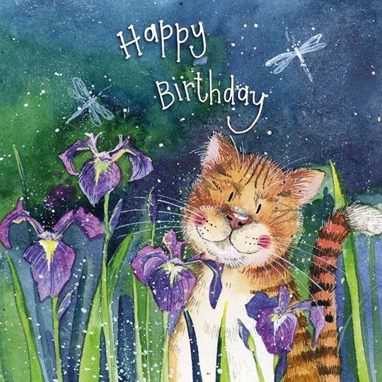 Image sur OUT AT NIGHT BIRTHDAY CARD