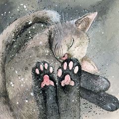 Picture of TOE BEANS BLANK CARD