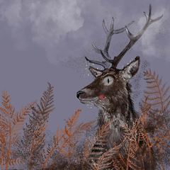 Bild von STAG BLANK CARD