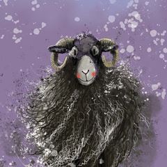 Immagine di SHEEP BLANK CARD