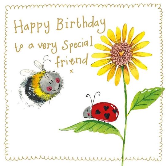 Bild von BEE AND LADYBIRD SPARKLE CARD