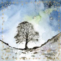 Picture of SYCAMORE GAP SPARKLE CARD